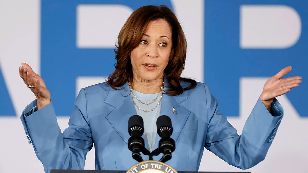 10 Democrats Vice President Kamala Harris could name as her 2025