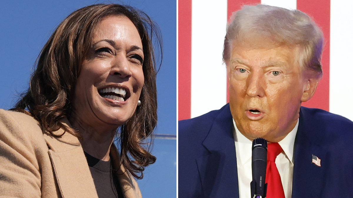 Allan Lichtman predicts Harris as 2024 winner because ‘Democrats got